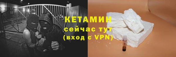 прущие грибы Верея