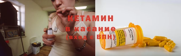 прущие грибы Верея