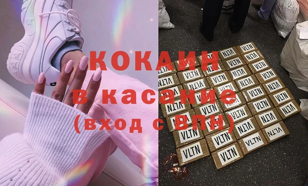 прущие грибы Верея