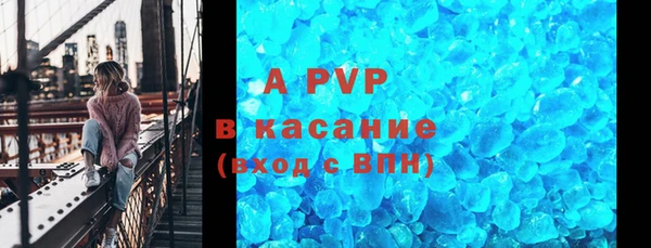 прущие грибы Верея