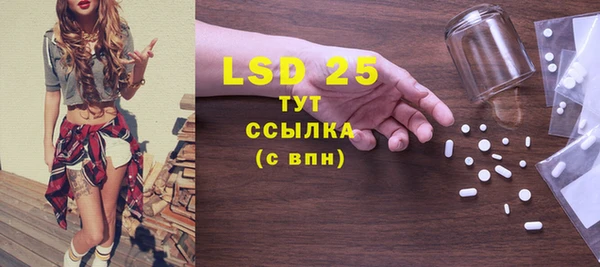 прущие грибы Верея