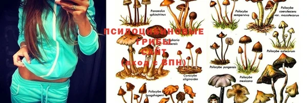 дистиллят марихуана Верхний Тагил