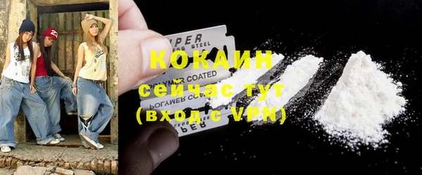 прущие грибы Верея