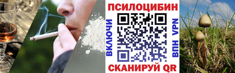 Псилоцибиновые грибы Cubensis  где купить   Льгов 